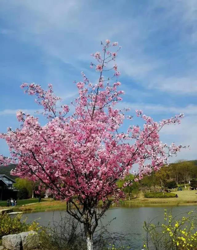 打轴机.jpg